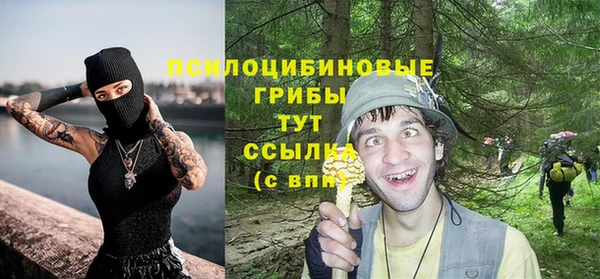 ALPHA PVP Снежногорск