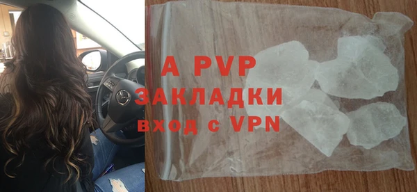 шишки Белокуриха