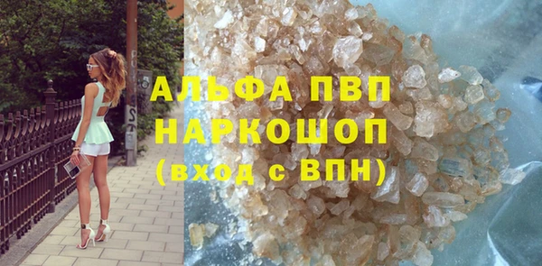 шишки Белокуриха