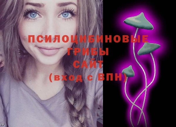 шишки Белокуриха