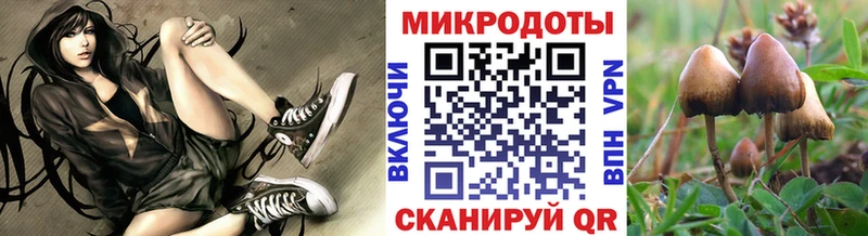 Галлюциногенные грибы прущие грибы МЕГА ссылка Наволоки